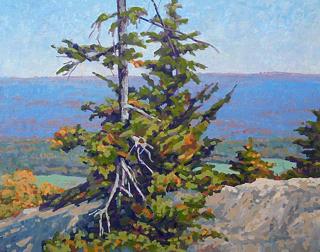 Sentinal like evergreen centered in front of deep space view of distant ridgeline